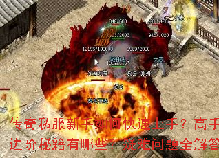 传奇私服新手如何快速上手?高手进阶秘籍有哪些?疑难问题全解答 传奇私服新手如何快速上手?高手进阶秘籍有哪些?疑难问题全解答