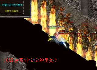 浅谈各职业宝宝的用处? 浅谈各职业宝宝的用处?