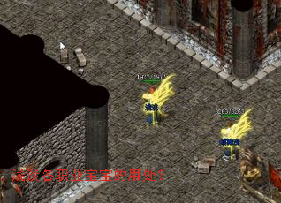 浅谈各职业宝宝的用处? 浅谈各职业宝宝的用处?