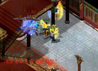 浅谈各职业宝宝的用处? 浅谈各职业宝宝的用处?