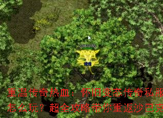 ���´�����Ѫ�����ɱ�̬����˽����ô�棿��ȫ���Դ����ط�ɳ�Ϳ�