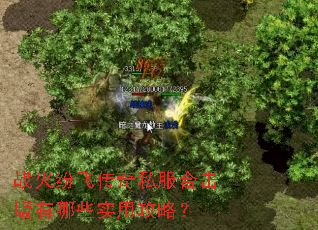 ս��׷ɴ���˽���ϻ�������Щʵ�ù��ԣ�