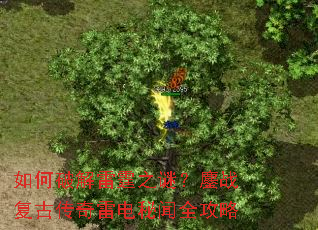 ����ƽ�����֮�գ���ս���Ŵ����׵�����ȫ����