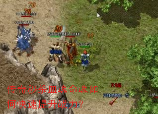 ������ɱѪ��������ο�������ս����