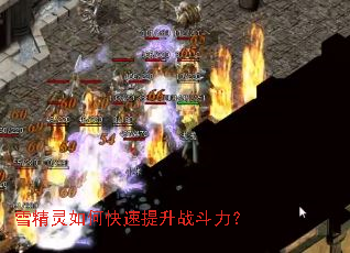 ѩ������ο�������ս������