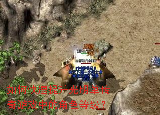 ��ο�������������������Ϸ�еĽ�ɫ�ȼ���