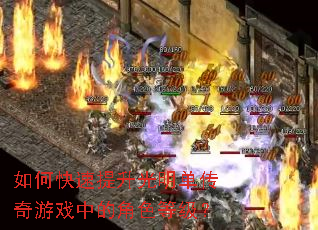 ��ο�������������������Ϸ�еĽ�ɫ�ȼ���