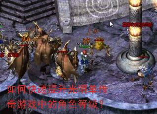 ��ο�������������������Ϸ�еĽ�ɫ�ȼ���