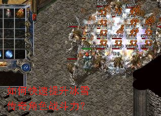 ��ο���������ѩ�����ɫս������