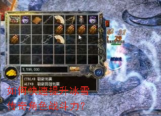 ��ο���������ѩ�����ɫս������