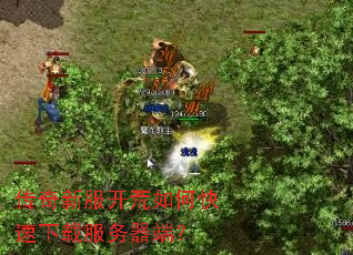 传奇新服开荒如何快速下载服务器端? 传奇新服开荒如何快速下载服务器端?