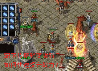 ���´�������������ο�������ս����