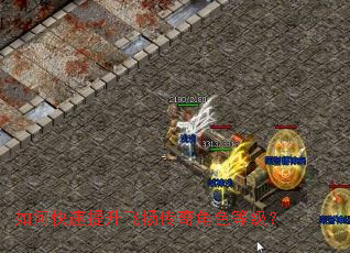 ��ο����������ﴫ���ɫ�ȼ���