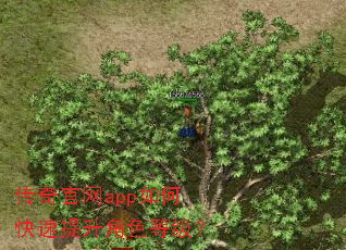 �������app��ο���������ɫ�ȼ���