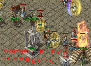 如何快速提升代宗师9196白凡301600249的战斗力? 如何快速提升代宗师9196白凡301600249的战斗力?