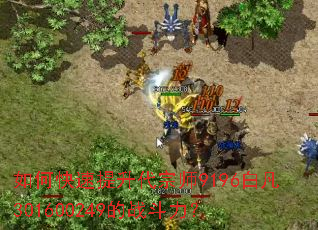 如何快速提升代宗师9196白凡301600249的战斗力? 如何快速提升代宗师9196白凡301600249的战斗力?