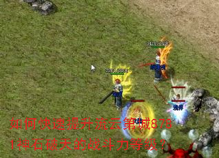 如何快速提升流云第城8781神石破天的战斗力等级? 如何快速提升流云第城8781神石破天的战斗力等级?