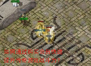 ���ͨ�������Ա��������������Ϸս������