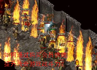 ���ͨ�������Ա��������������Ϸս������