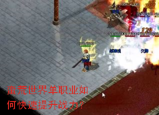 �������絥ְҵ��ο�������ս����