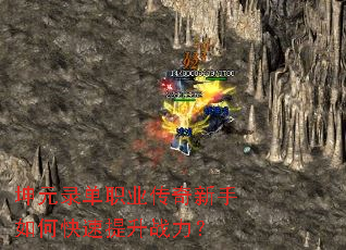 ��Ԫ¼��ְҵ����������ο�������ս����