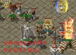 ��ο����������ٴ����еĽ�ɫ�ȼ���