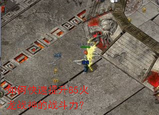 ��ο�������85����ս���ս������