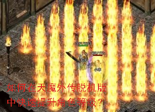 �������ħ�⴫�ѻ����п���������ɫ�ȼ���