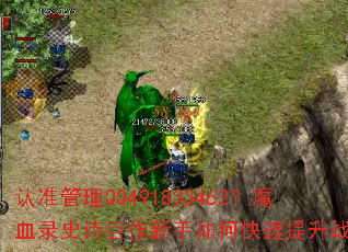 ��׼����QQ491833462��ħѪ¼ʷʫ����������ο�������ս����