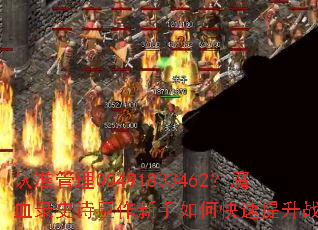 ��׼����QQ491833462��ħѪ¼ʷʫ����������ο�������ս����