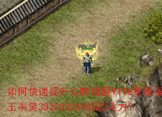 如何快速提升众醉独醒9196青翼福王韦笑302300249的战斗力? 如何快速提升众醉独醒9196青翼福王韦笑302300249的战斗力?