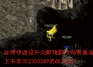 如何快速提升众醉独醒9196青翼福王韦笑302300249的战斗力? 如何快速提升众醉独醒9196青翼福王韦笑302300249的战斗力?