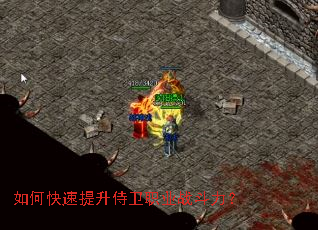 ��ο�����������ְҵս������