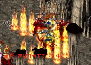 ��ο�����������ְҵս������