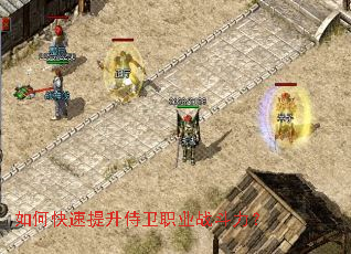 ��ο�����������ְҵս������