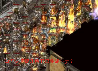 ��ο�����������ְҵս������