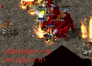 ��ο�������ʮ���һ�2��ս������