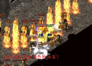 �����Ч��ֹ��ɫ��������