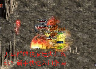 ����Ⱥ�۶�����ʧ��ô�棿���ֿ�������ָ��