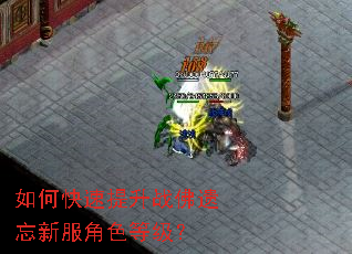 ��ο�������ս�������·���ɫ�ȼ���