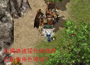 ��ο�������ս�������·���ɫ�ȼ���