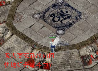 �����̬�·���ο�������ս������