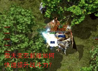 �����̬�·���ο�������ս������