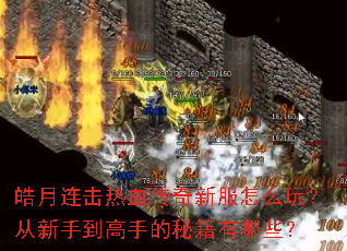 ���������Ѫ�����·���ô�棿�����ֵ����ֵ��ؼ�����Щ��