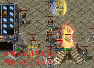 ��ο������������������еĽ�ɫ�ȼ���