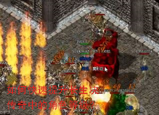 ��ο������������������еĽ�ɫ�ȼ���