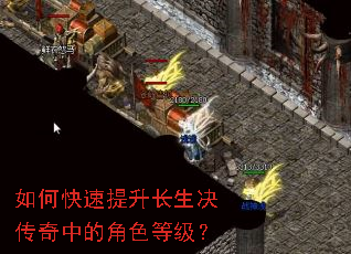 ��ο������������������еĽ�ɫ�ȼ���