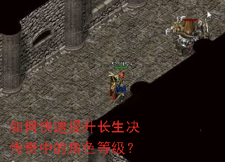 ��ο������������������еĽ�ɫ�ȼ���