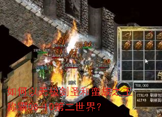 ������޼���ʥ������֮���ư�08-10�ڶ����磿