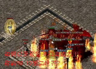 ������޼���ʥ������֮���ư�08-10�ڶ����磿